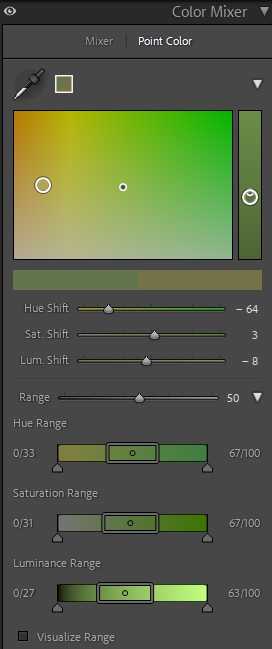 Point Color Green